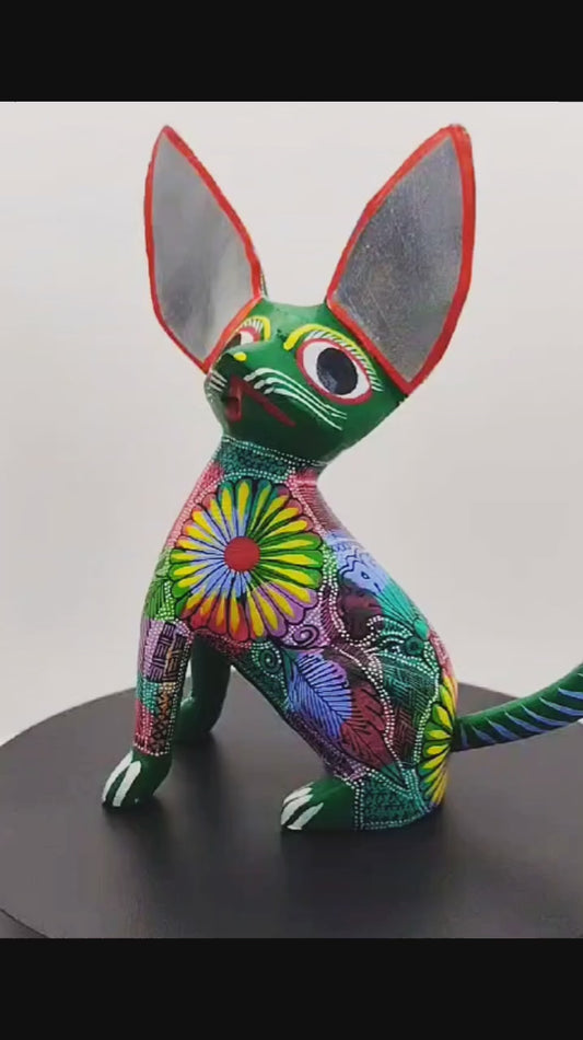 Xoloitzcuintle Multicolor.